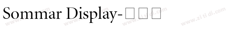Sommar Display字体转换